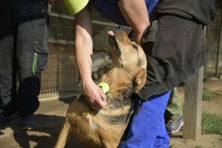 Pandora sucht Euren Halt