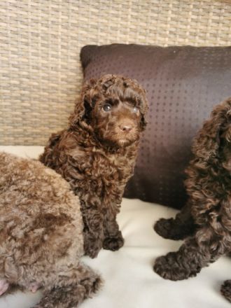 Hurra... Nun ist es endlich soweit unsere kleinen