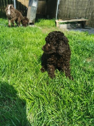 Hurra... Nun ist es endlich soweit unsere kleinen