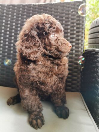 Hurra... Nun ist es endlich soweit unsere kleinen