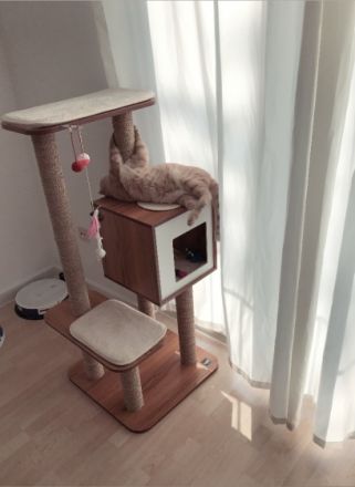 Milosch, Hier möchte ich einen ganz besonderen Kater