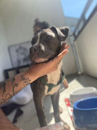 Aus beruflichen Gründen abzugeben mit starterpaket 12