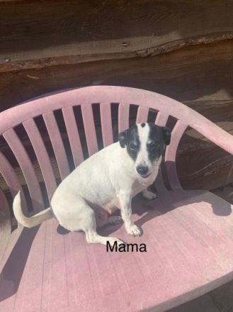 Hallo dieser kleine Mann ist noch zu haben und sucht