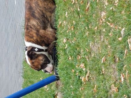 Ben, Ich suche auf diesem Weg aus Privaten Gründen ein