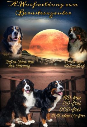 Hurra Hurra, unser A-Wurf ist da! Nach 11 Stunden sind