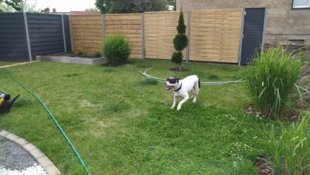 Wir müssen uns leider von unserer Kira aus