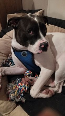 Wir müssen uns leider von unserer Kira aus