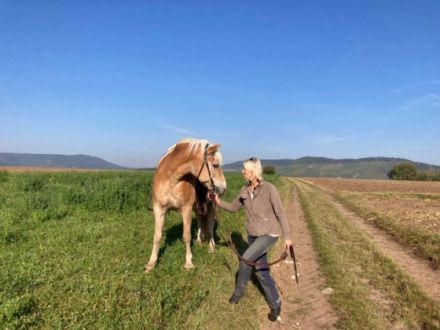 Tierphysiotherapie &Tierheilpraxis Natalie Schwalbe