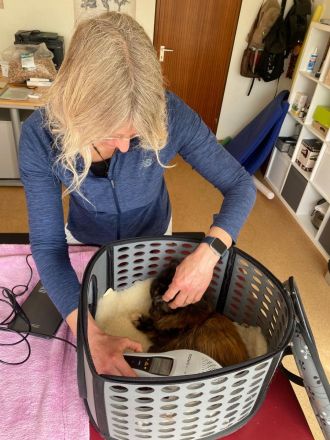 Tierphysiotherapie &Tierheilpraxis Natalie Schwalbe