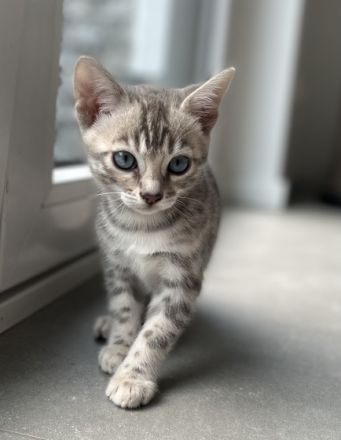 Von ariana Hildebrandt