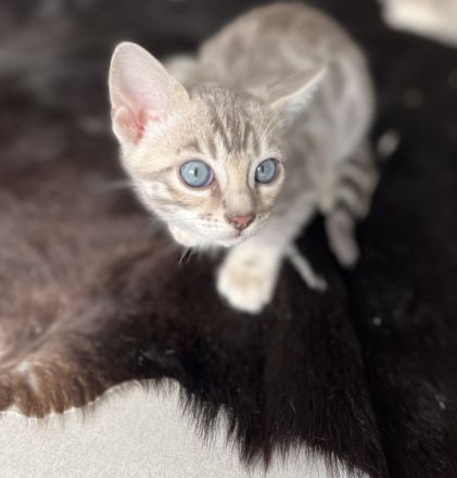 Von ariana Hildebrandt