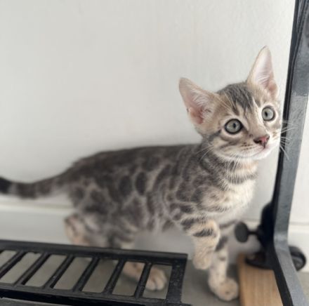 Von ariana Hildebrandt