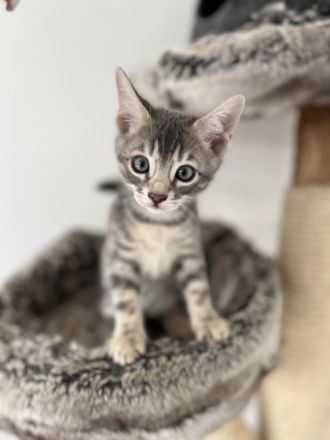 Von ariana Hildebrandt