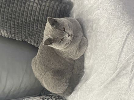 Hallo liebe Tierliebhaber, Am 27.04.2022 sind unsere