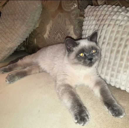 Hallo liebe Tierliebhaber, Am 27.04.2022 sind unsere