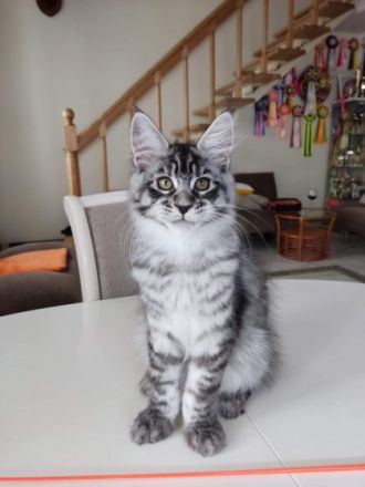 Linda, Sie können zusammen oder einzeln gehen, am