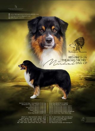 Red Fire‘s On The Road ‘Michel‘ DNA-CP