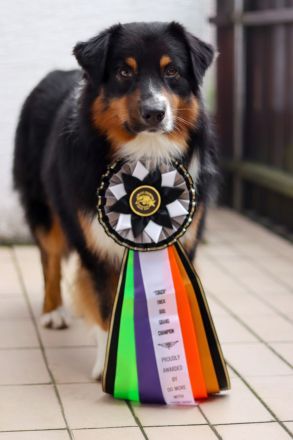 Red Fire‘s On The Road ‘Michel‘ DNA-CP