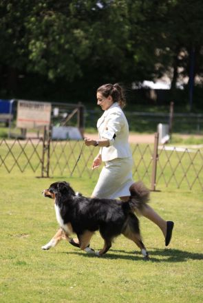 Red Fire‘s On The Road ‘Michel‘ DNA-CP