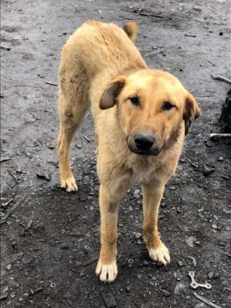 Dunya - liebenswürdig und harmonisch💞