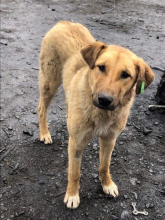 Dunya - liebenswürdig und harmonisch💞