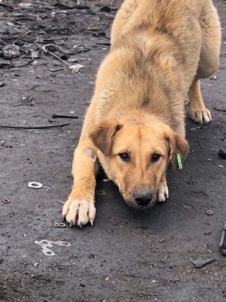 Dunya - liebenswürdig und harmonisch💞