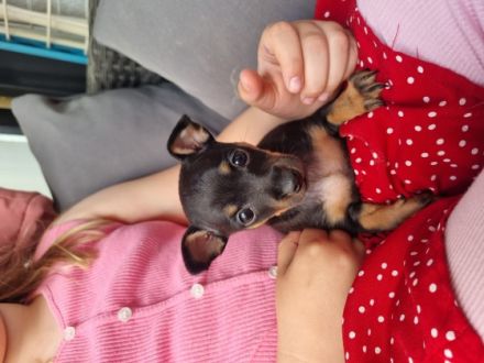 Unsere kleine weltentdeckerin geboren am 27.03.2022