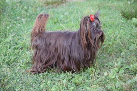 Black male with no tan, born 13.12.2021, small in size,