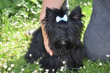 Black male with no tan, born 13.12.2021, small in size,