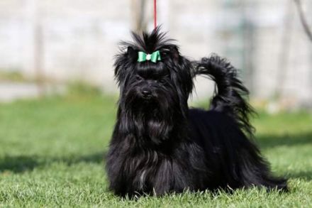 Black male with no tan, born 13.12.2021, small in size,