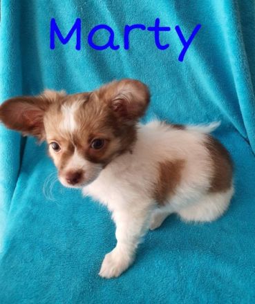 Sie wurden am 02.03.22 geboren und sind nun alt genug