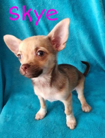 Sie wurden am 02.03.22 geboren und sind nun alt genug