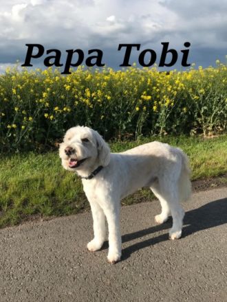 Hallo, Wir machen Ihren Traum wahr. Wir haben