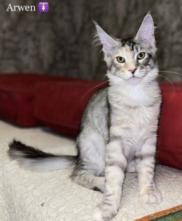 Hallo! Wir sind Vereins-Züchter und haben nun im Januar