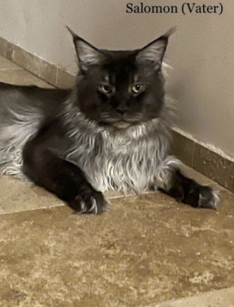 Hallo! Wir sind Vereins-Züchter und haben nun im Januar