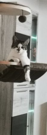 Schweren Herzens müssen wir uns von unserem 11 Monate