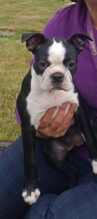 Hallöchen liebe Bosti-Fans, in meiner liebevollen und