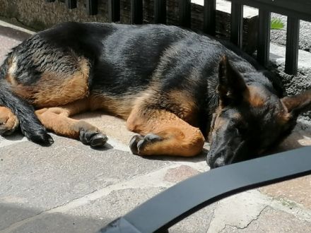 von der Silvretta - Arena