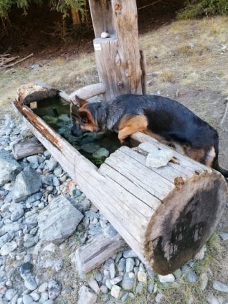 von der Silvretta - Arena