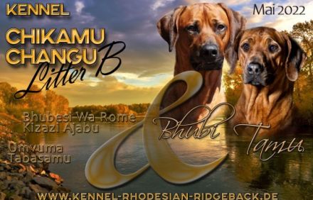 Aus Planung wurde Wirklichkeit. Am 11.05.2022