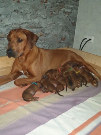 Aus Planung wurde Wirklichkeit. Am 11.05.2022