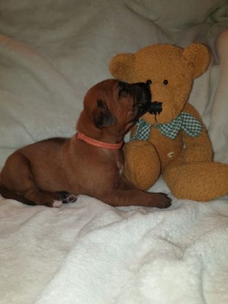 Aus Planung wurde Wirklichkeit. Am 11.05.2022