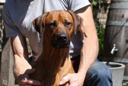 Aus Planung wurde Wirklichkeit. Am 11.05.2022