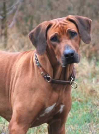 Aus Planung wurde Wirklichkeit. Am 11.05.2022