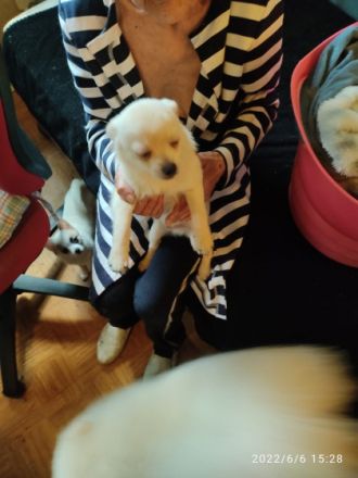 Wir sind jetzt fünf Monate alt. Wir sind Geimpft,