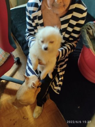 Wir sind jetzt fünf Monate alt. Wir sind Geimpft,