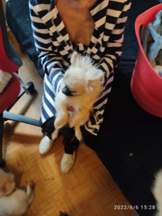 Wir sind jetzt fünf Monate alt. Wir sind Geimpft,