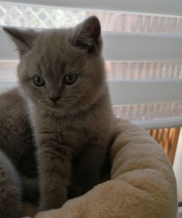 Am 01.04.2022 haben wir, sieben wunderschöne,