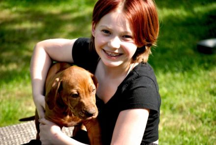 Rhodesian Ridgeback livernose Welpen / männl. aus