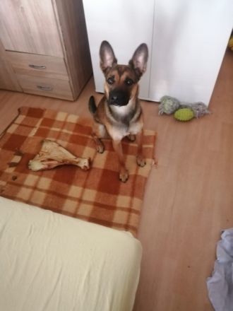 Ein Familienmitglied muss aus gesundheitlichen Gründen